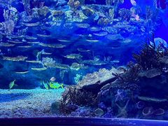 -海合安武汉极地海洋公园