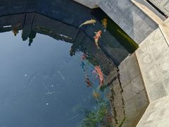 -西安市广仁寺