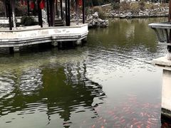 -花洲书院
