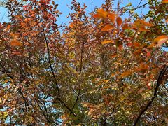 -盘龙城国家考古遗址公园