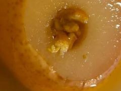 -炖物24章·顺时轻养茶(杭州保利时光里店)