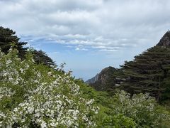 -黄山光明顶山庄