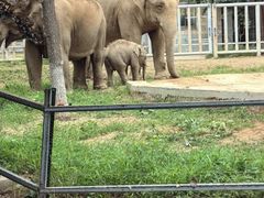 -石家庄市动物园