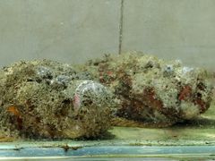 -海盗餐厅