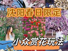 -长白岛森林公园