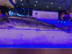 -海韵之星邮轮水会(明发商业广场店)