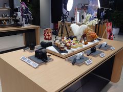 -Sony Store索尼(深圳深业上城店)