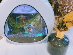 -Fridi Patisserie Cafe