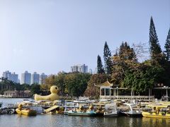 -荔枝公园(福田区)