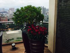 -惠州惠阳丽景国际花园酒店(市政广场店)