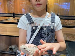 -酷以爬仙阁实体爬宠店·守宫·蜥蜴·专业繁育