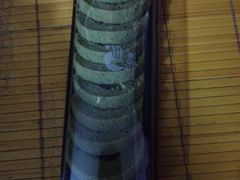 -三色鸽西饼店(黄河路店)