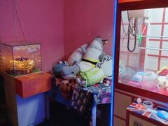 -好玩工厂密室·鹅鸭杀·桌游拼豆电玩
