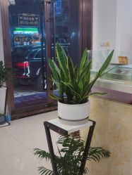 -香秀空间科技抗衰·美容中心