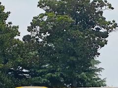 -阳澄湖半岛旅游度假区