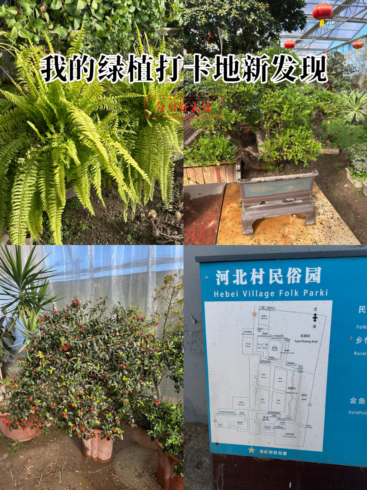 河北村民俗园打卡