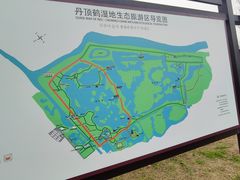 -盐城丹顶鹤湿地生态旅游区