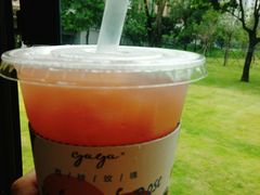 -gaga(深圳福田星河COCO Park店)