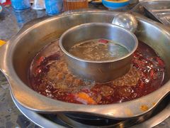 -金鼎雪山牦牛杂火锅(理县总店)