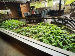 -黄山老妈·土菜(碧桂园店)