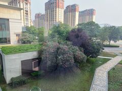 -南阳建业森林半岛假日酒店