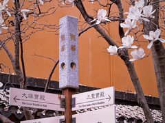 -龙华寺
