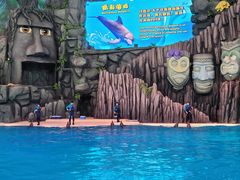 -珠海长隆海洋王国