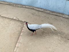 -森林公园(尖草坪区)