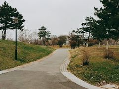 -莫子山公园