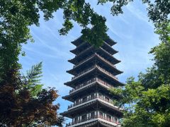 -宜兴龙背山森林公园