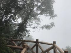 -武陵山森林公园
