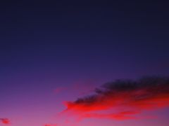 -贡湖湾湿地公园