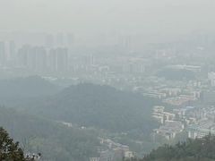 -茶颜悦色(岳麓山顶店)
