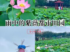 -武汉紫薇都市田园