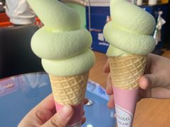 -萨朗刀克冰淇淋雪花凉(植物园店)