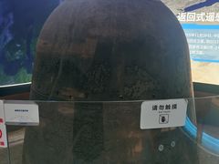 -中国航天博物馆