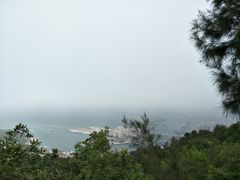 -广东惠东海龟国家级自然保护区