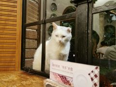 -马勒别墅·中餐厅