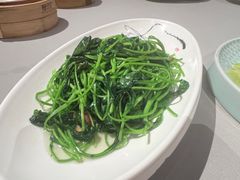 -潮府馆·非遗潮州菜·世纪公园(新国际博览中心店)