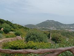 -枸杞岛
