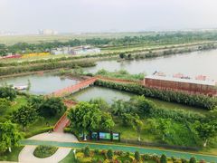 -芒洲湿地公园