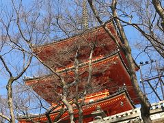-有栖山 清光院 清水寺