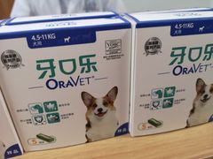 -派联宠物医院·24h·CT·异宠