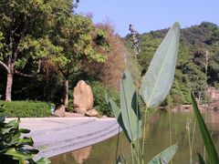 -云溪植物园