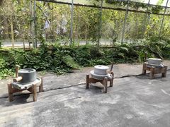 -前小桔亲子创意农场·草莓采摘·露营烧烤