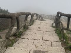 -梧桐山风景名胜区