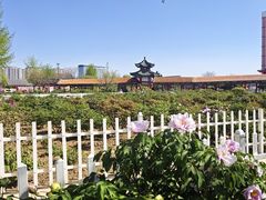 -曹州百花园