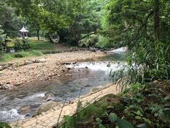-广州市石门国家森林公园