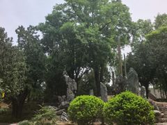 -北京市劳动人民文化宫(太庙)
