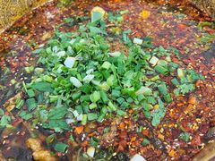 -乐山第一家临江鳝丝(茶坊路店)